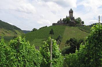 Reichsburg Cochem inmitten von Weinstöcken