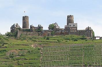 Burg Thurant auf Weinberg