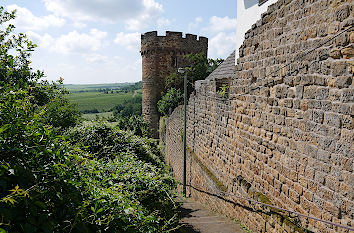 Neuleiningen