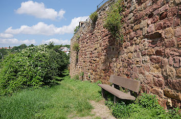 Stadtmauerweg Stadtmauer Neuleiningen