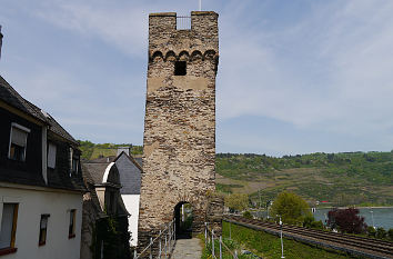 Steingassenturm Stadtmauer Oberwesel