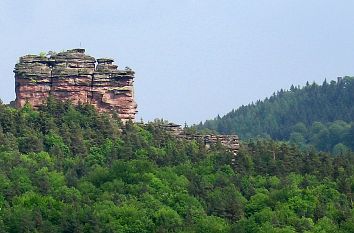 Pfälzerwald: Asselstein bei Annweiler