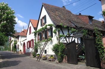 Theresienstraße in Rhodt unter Rietburg