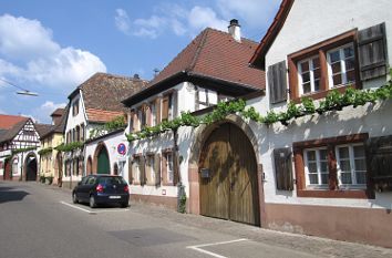 Weinbauernhöfe in Rhodt unter Rietburg