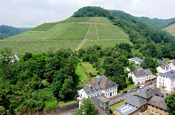 Blick zum Weinberg Saarburger Rausch