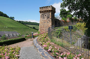 Turm Belvedere in Saarburg