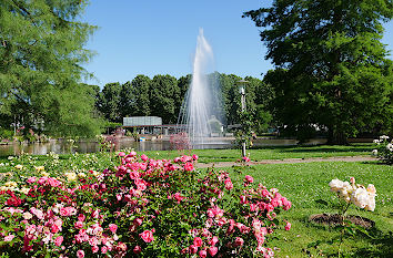 Springbrunnen Europas Rosengarten Zweibrücken