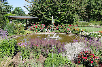 Springbrunnen und Rosen in Zweibrücken