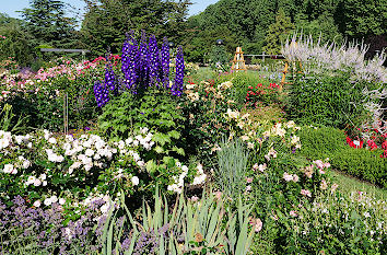 Blumenbeet Rosengarten Zweibrücken