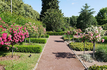 Europas Rosengarten Zweibrücken