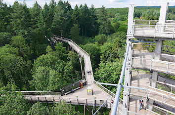 Blick Aussichtsturm Baumwipfelpfad Saarschleife