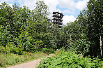 Baumwipfelpfad Saarschleife