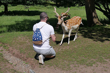 Mensch und Wild im Naturwildpark Freisen