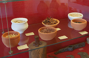 Antike Getreidesorten Römermuseum Schwarzenacker
