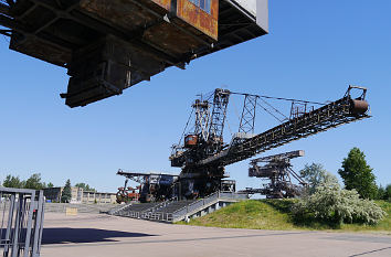 Riesenbagger an der Veranstaltungsarena in Ferropolis