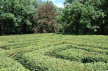 Irrgarten Altjeßnitz