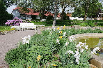 Blumen im Kurpark von Bad Dürrenberg