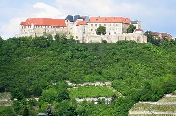 Schloss Neuenburg vom Unstruttal aus gesehen