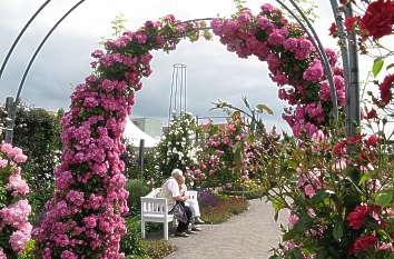 Europa-Rosarium Sangerhausen