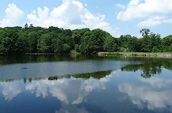 Teich im Schlossgarten Ballenstedt