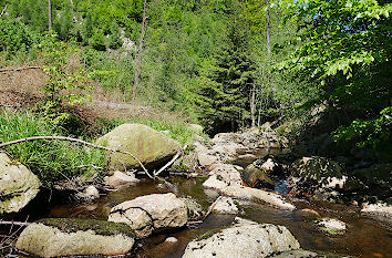 Wildwasserbach Steinerne Renne