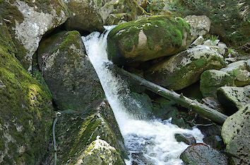 Kleiner Wasserfall Steinerne Renne