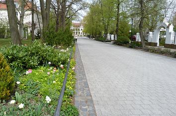 Kurpromenade in Bad Schmiedeberg