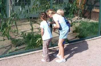 Kinder vor Vogelvoliere in Bernburg