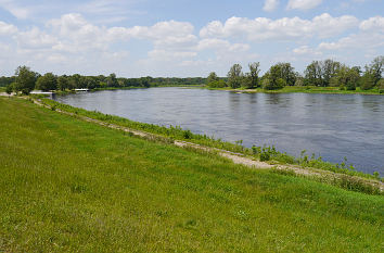 Elbe bei Dessau