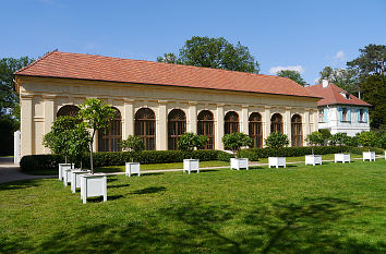 Orangerie Schloss Luisium in Dessau