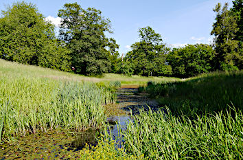 Landschaft im Schlosspark Luisium