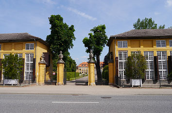 Orangerie Schloss Mosigkau in Dessau