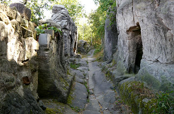 Weg zur Ruine der Altenburg