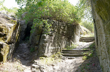 Weg zum Gipfel der ehemaligen Altenburg