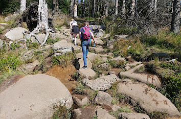 Wanderweg zum Brocken