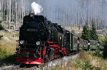 Harzer Schmalspurbahn auf dem Weg zum Brocken