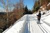 Skilanglauf im Harz