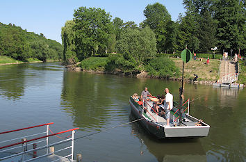 Blütengrund Großjena