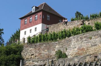 Max-Reger-Weinberg Naumburg