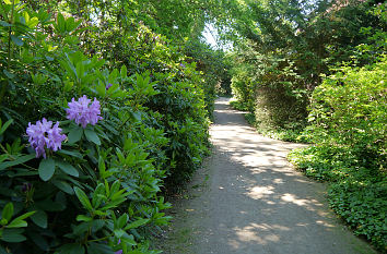 Wörlitzer Park am Kuhstall