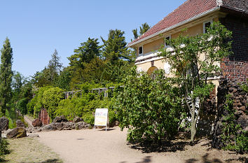 Blick vom Eisenhart im Wörlitzer Park