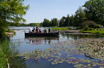 Fähre zur Roseninsel im Wörlitzer Park