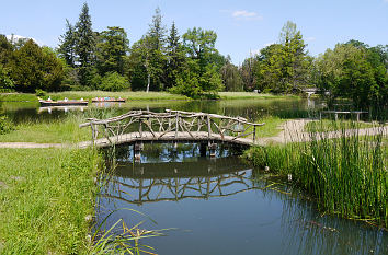 Kleiner Kanal am Wurzelhaus im Wörlitzer Park