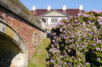 Brücke und Rhododendron im Schlosspark Oranienbaum