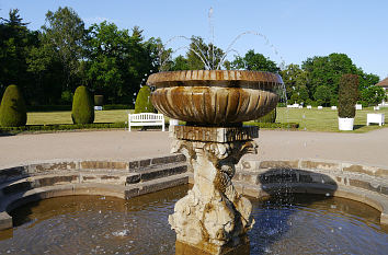 Delphinbrunnen Schlosspark Oranienbaum