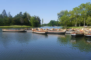 Ausflugsboote im Wörlitzer See