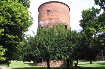 Burg Salzwedel in Salzwedel