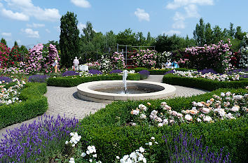 Park Rosarium Sangerhausen