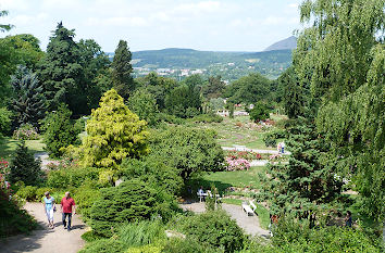 Arboretum im Rosarium Sangerhausen