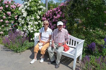 Sitzbank im Rosengarten Sangerhausen